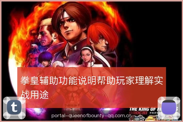 拳皇辅助功能说明帮助玩家理解实战用途